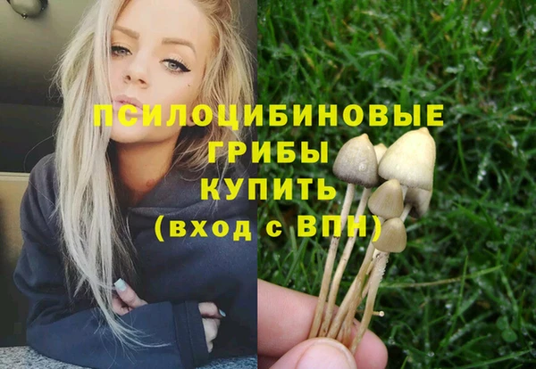 ECSTASY Нея