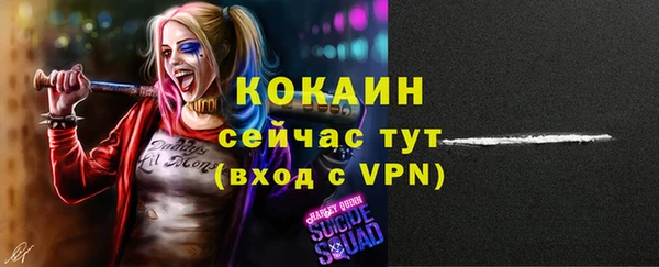 mdpv Ленинск