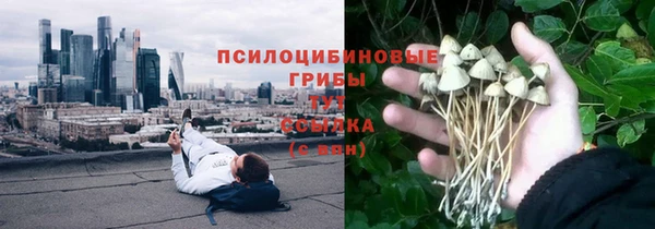 стаф Ленинск-Кузнецкий
