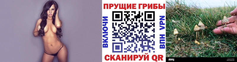 Галлюциногенные грибы прущие грибы  цены   Оленегорск 