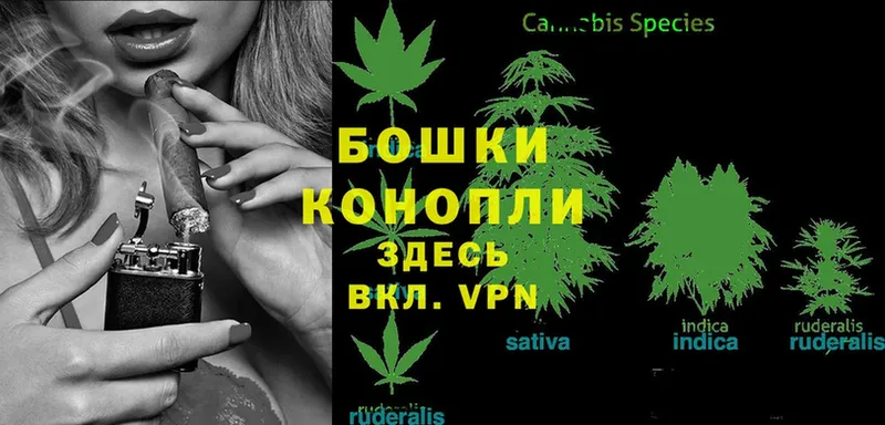 нарко площадка какой сайт  Оленегорск  Бошки Шишки LSD WEED  сколько стоит 